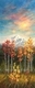Mt Baker Looming